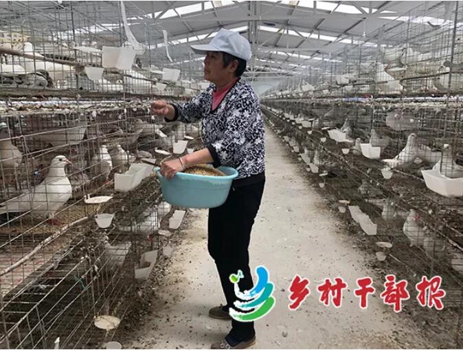 QQ截图20200528161738.jpg