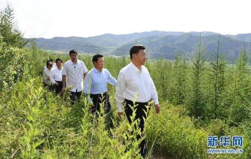 7月15日至16日，中共中央总书记、国家主席、中央军委主席习近平在内蒙古考察并指导开展“不忘初心、牢记使命”主题教育。这是15日下午，习近平在赤峰市喀喇沁旗马鞍山林场林区，沿着崎岖的护林小道察看林木长势。 新华社记者 谢环驰 摄