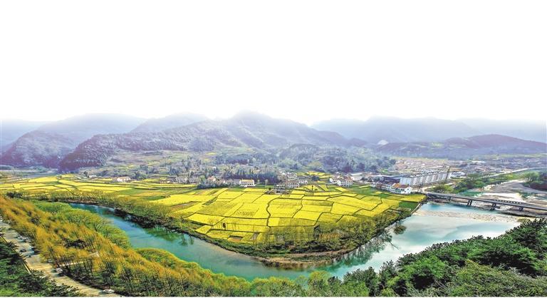 QQ截图20220310081104.jpg