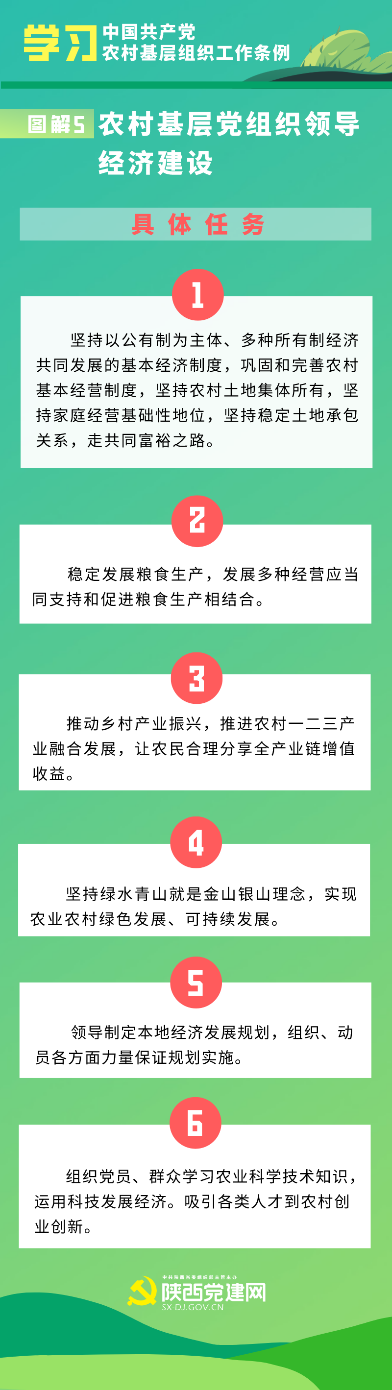 农5.png