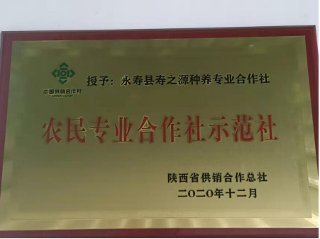 QQ截图20220111155024.png