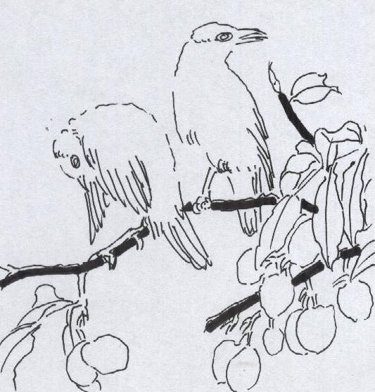 宋代折枝花鸟画构图程式剖析