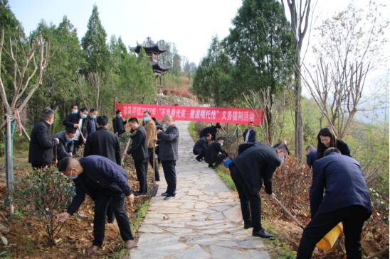 植树活动