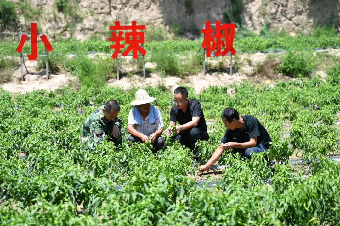 图片2.png