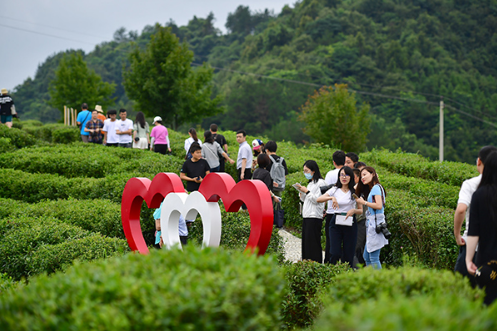 QQ截图20210303105517.png