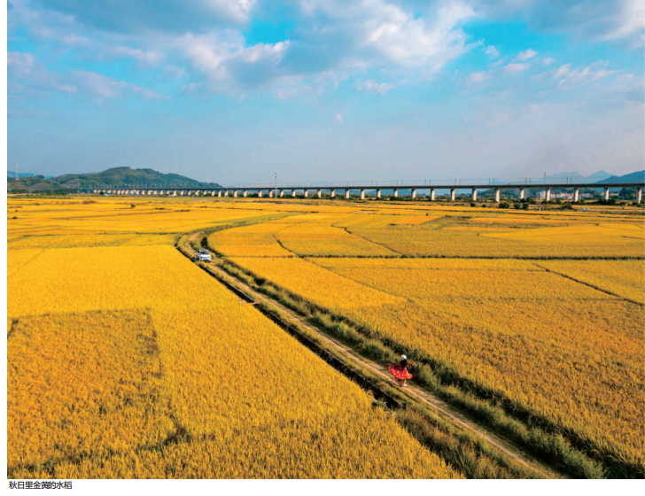 QQ截图20221206100749.png