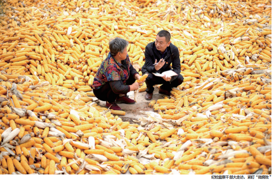 QQ截图20221206112521.png