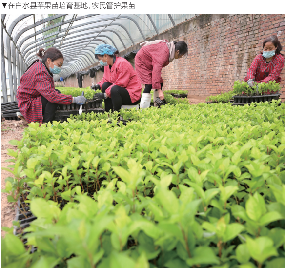 QQ截图20220920152522.png