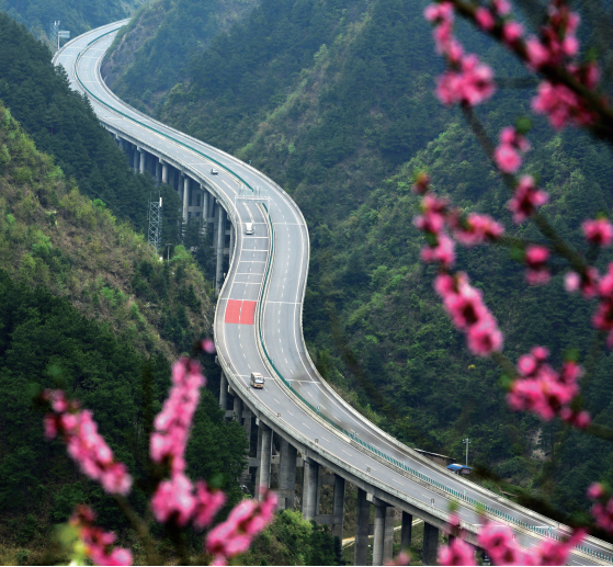 QQ截图20220324093545.png