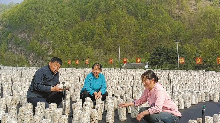 QQ截图20230510083254.jpg