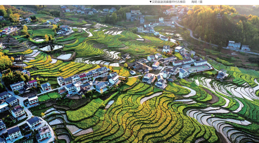 QQ截图20230404154904.png