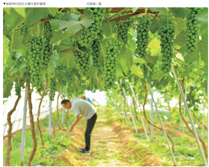 QQ截图20230406161952.png