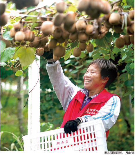 QQ截图20230316161231.png