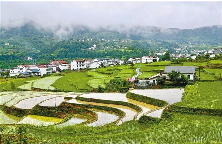 6月17日，平利县大贵镇下起细雨，远山、水田、徽派建筑呈现出一幅如梦似幻的画境。.jpg