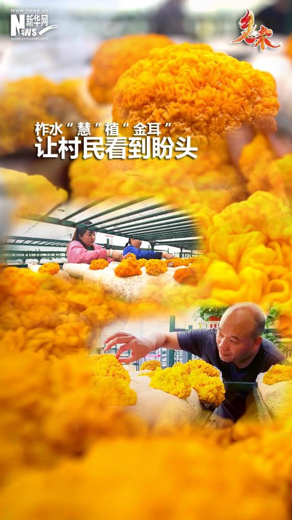 202307280732a0de1b2142bb973f120c4d2db4bb_1690341085624.jpg