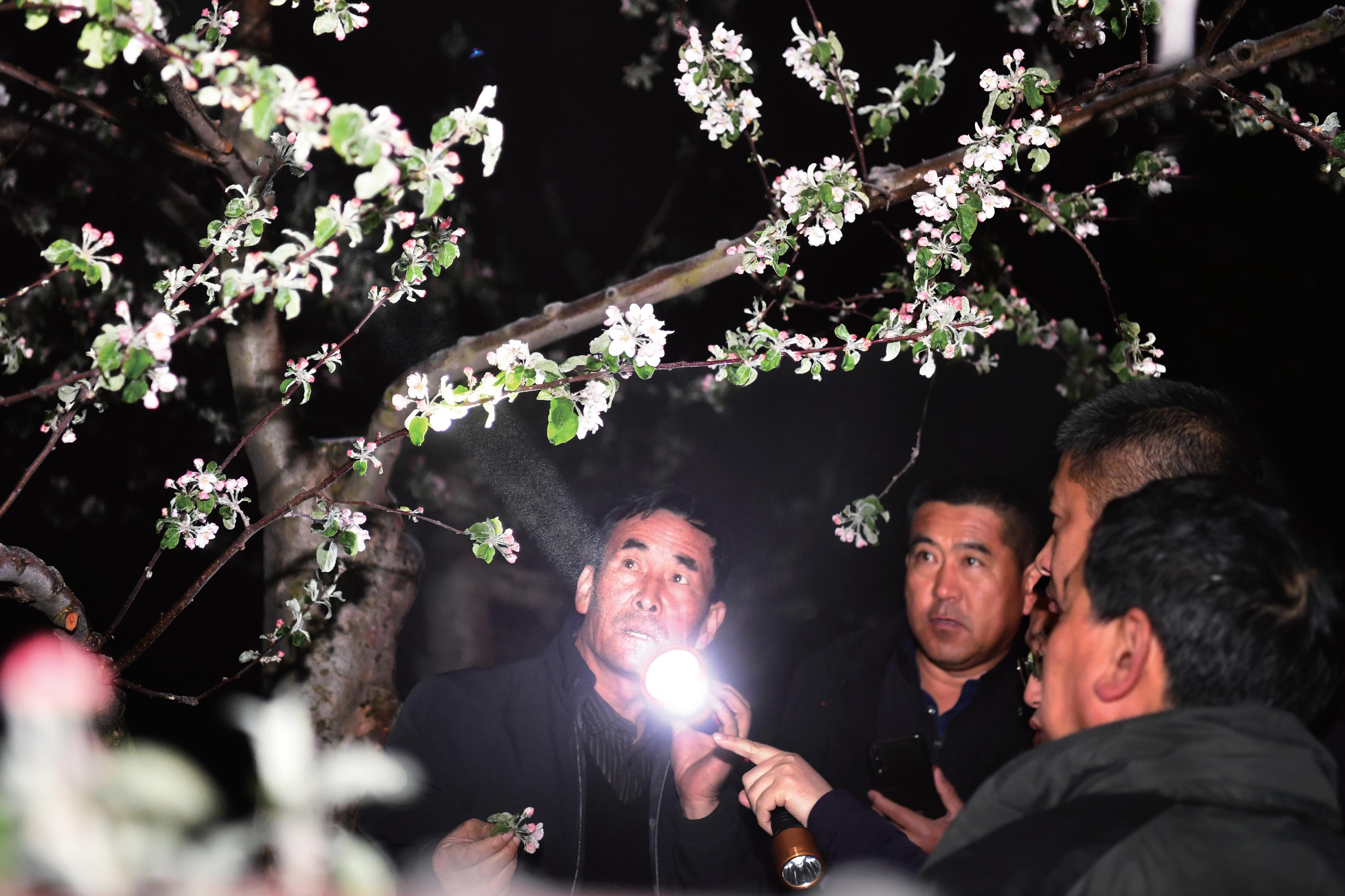 第25页-13.JPG