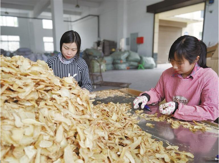 QQ截图20231009082632.jpg