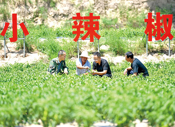 第8页-9(1).jpg