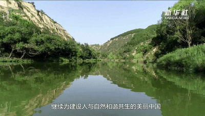 1128891100_16596428675711n.gif