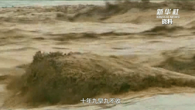 1128891100_16596428675801n.gif