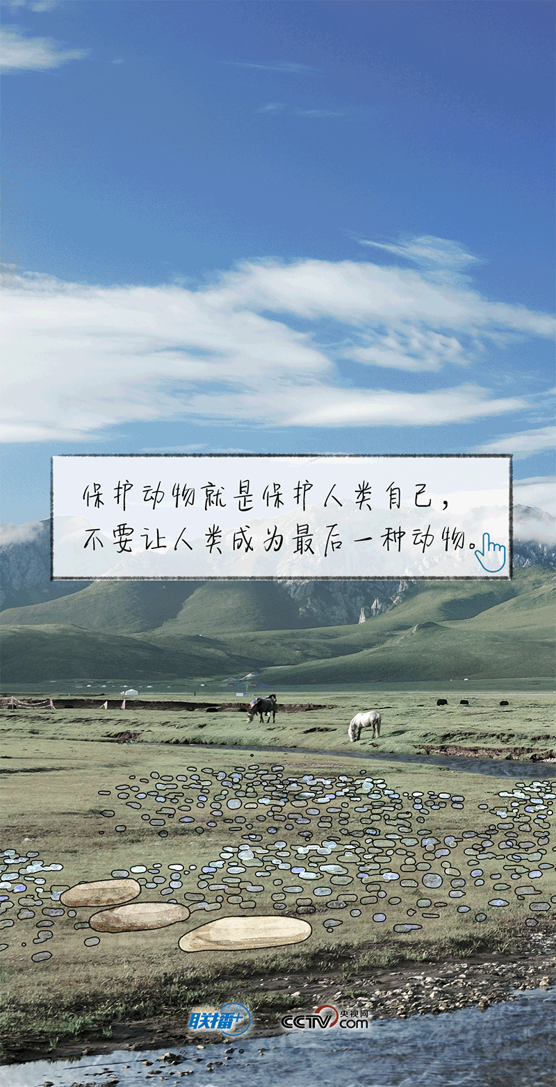 7.gif