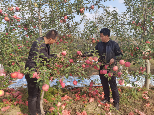 QQ截图20220426162745.png