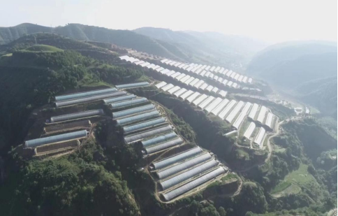 QQ截图20220524083918.png