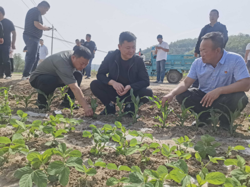 QQ截图20220615163324.png