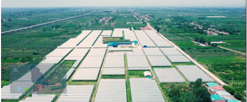 QQ截图20220714163943.png