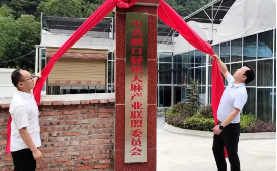 QQ截图20220726165339.png
