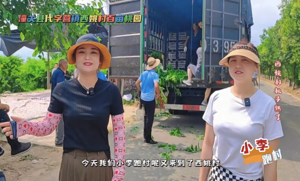 QQ截图20220902144747.png