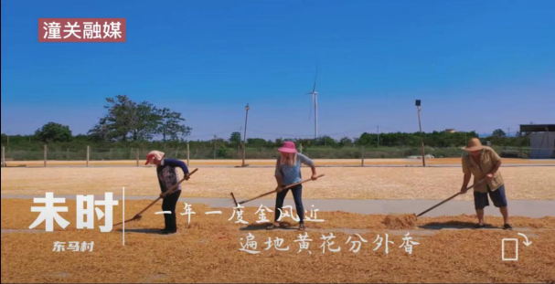 QQ截图20220902144756.png