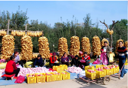 QQ截图20220913143310.png