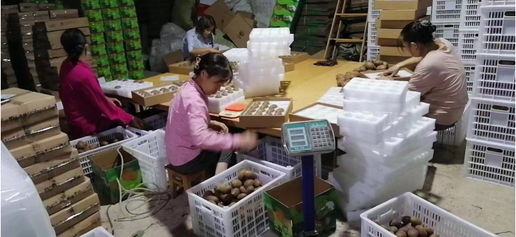 QQ截图20220914101529.png