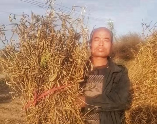 QQ截图20221031154418.png