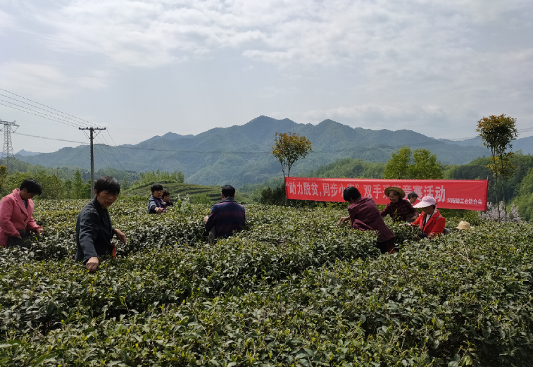 QQ截图20200518111416.png