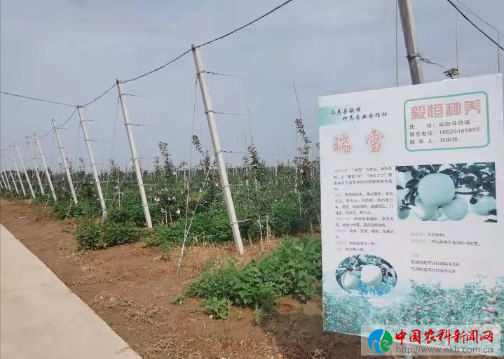 微信图片_20210824171655