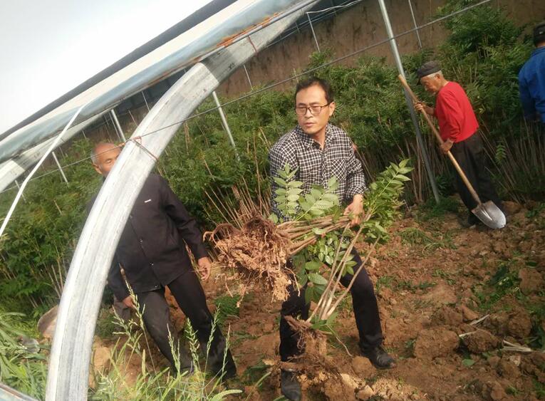 QQ截图20200817164633.jpg