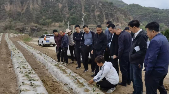 QQ截图20221018110019.png