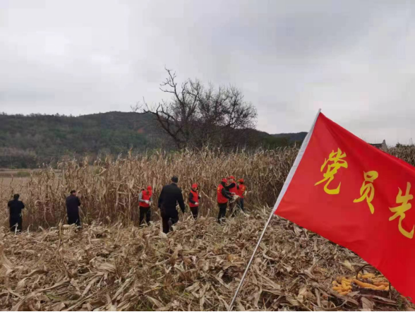 QQ截图20221021111505.png