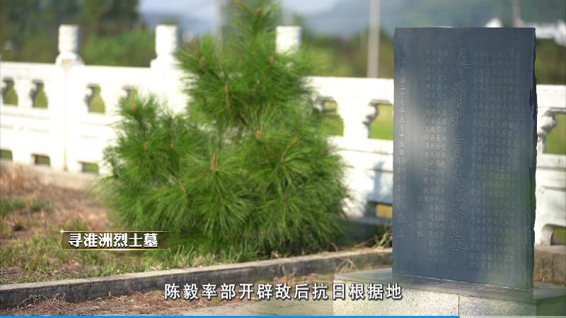 寻淮洲的“请战书”