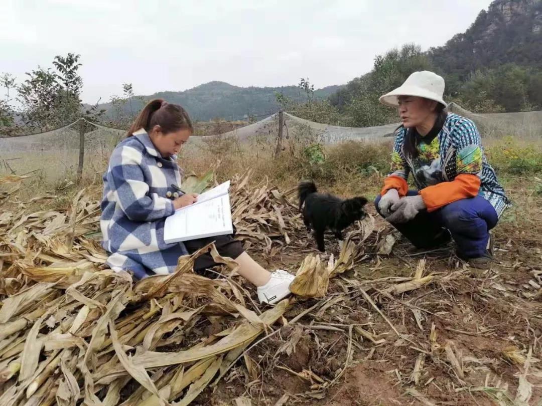 微信图片_20191012143634.jpg 微信图片_20191012143634.jpg