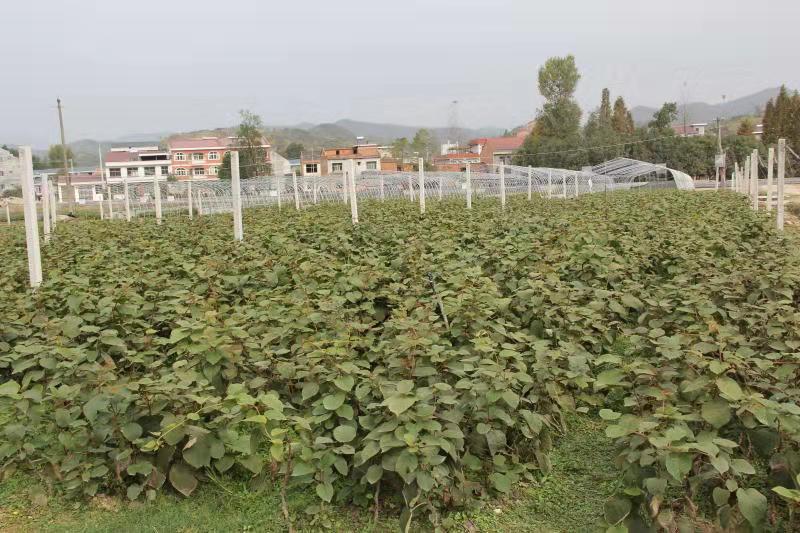 微信图片_20191227125730.jpg 微信图片_20191227125730.jpg