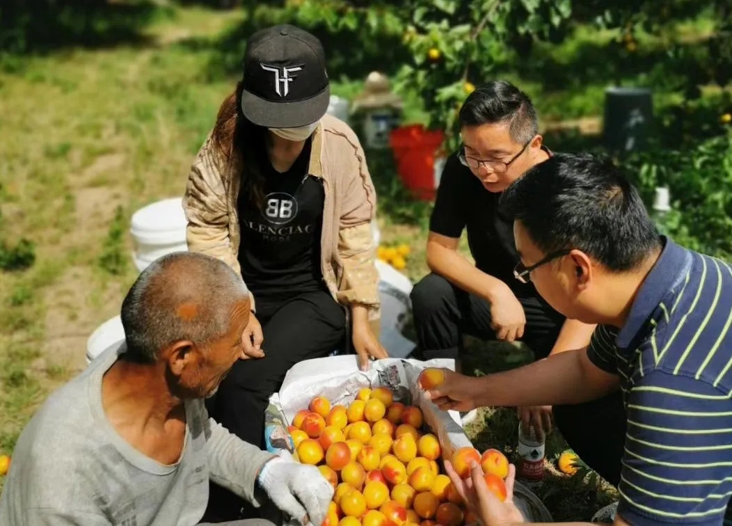 640.webp (3).jpg 640.webp (3).jpg