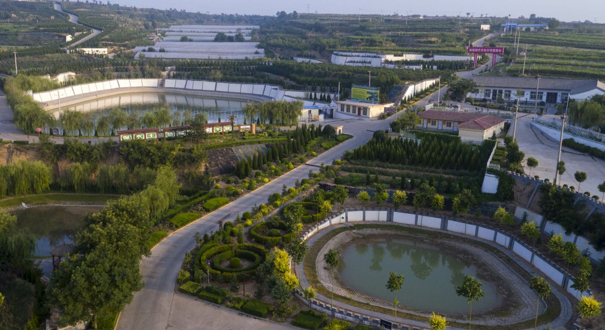 寺前镇党委以“产业联合党委 园区 ”新模式，发展的吴坡现代农业园区。.jpg