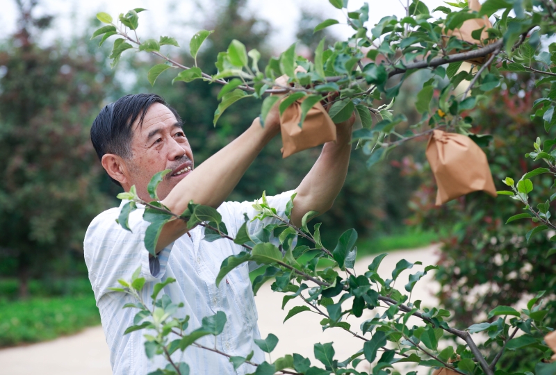 415824_800x4096.jpg 415824_800x4096.jpg