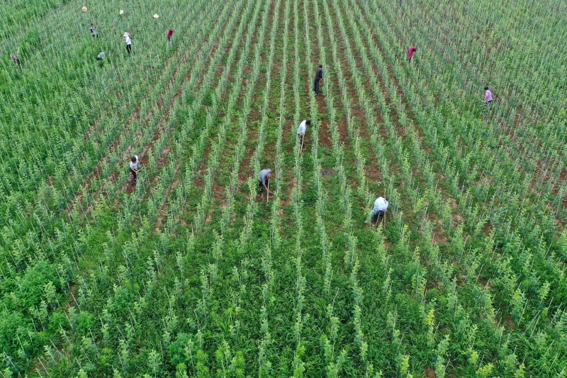 415822_800x4096.jpg 415822_800x4096.jpg