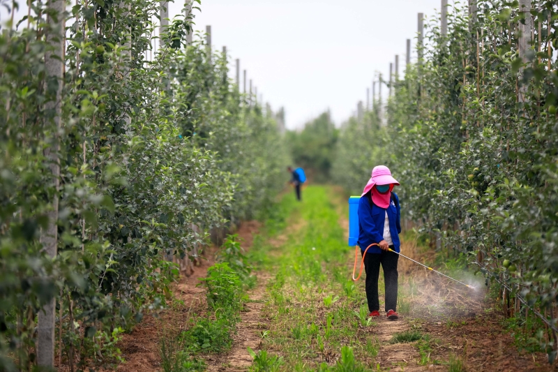 415825_800x4096.jpg 415825_800x4096.jpg