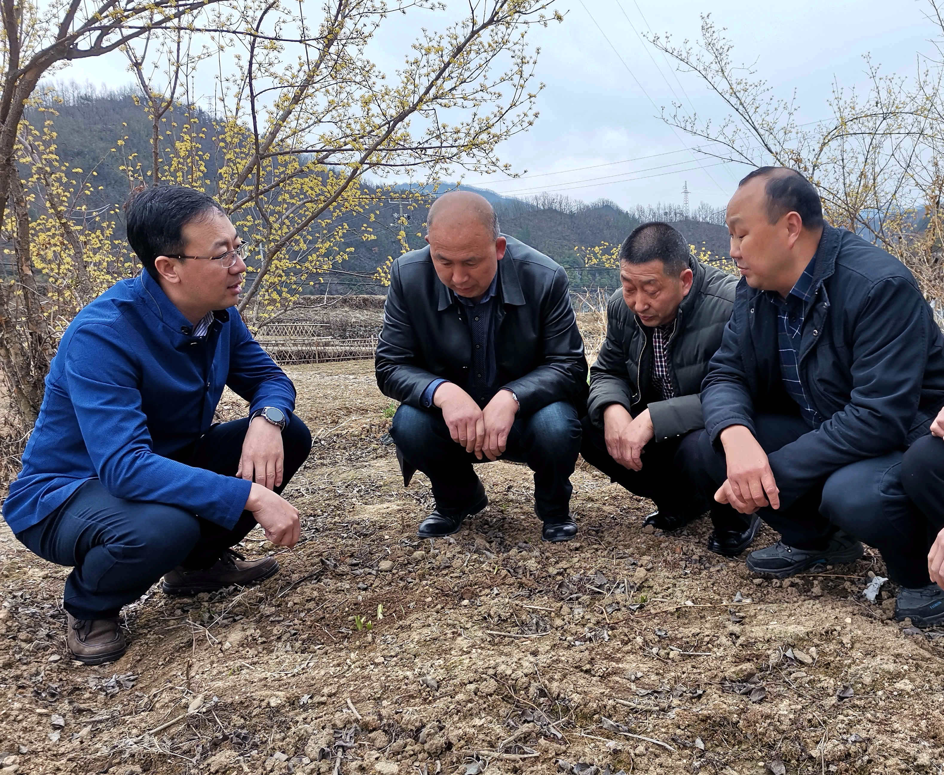 高波（左一）在银厂沟村百合花卉基地调研  吴燕峰摄.jpg