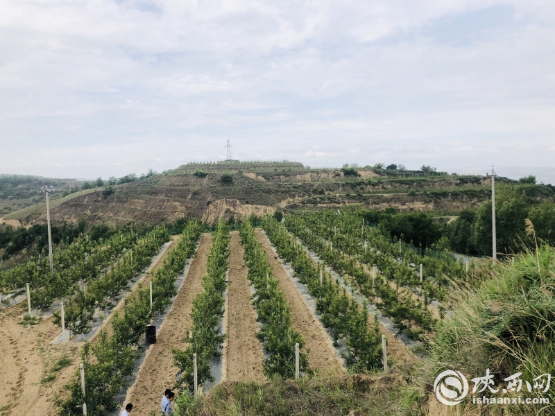 26da7ed82c36aa3bf708c7fc29316e7_副本